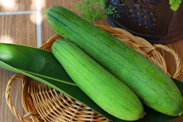 熊本で栽培が盛ん？コスメにも使われるヘチマの魅力