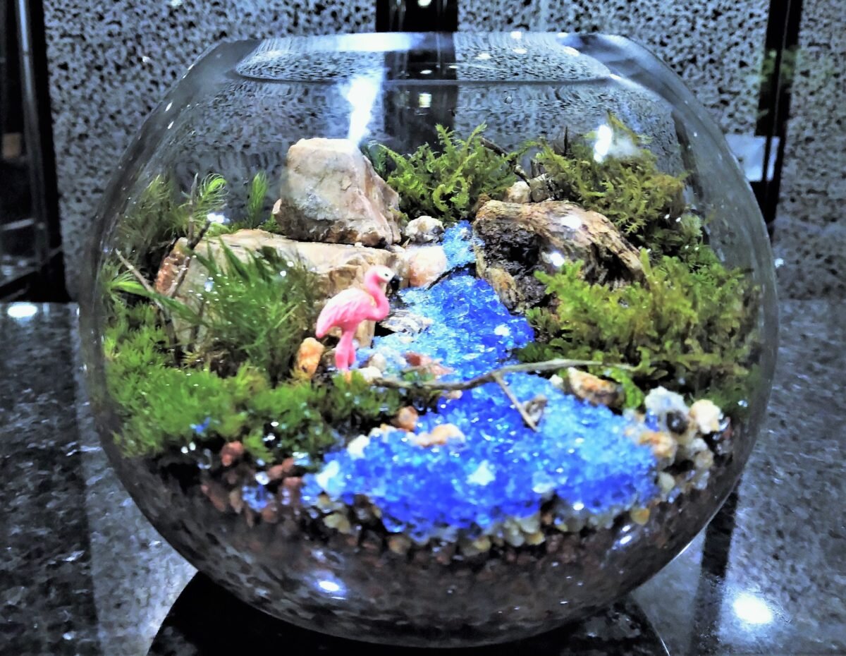 苔玉と苔テラリウムで癒しの空間を！東京新宿で楽しむ緑のインテリア