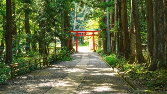 岩手県に伝わる漆器「秀衡塗」　生活に伝統工芸品を取り入れてみませんか
