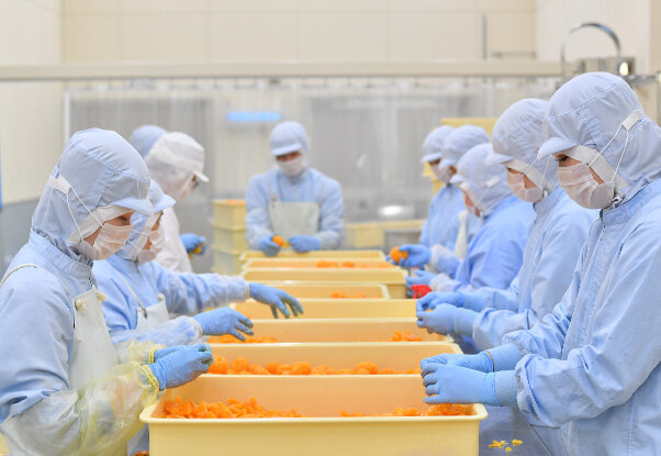 加工工場の製造風景