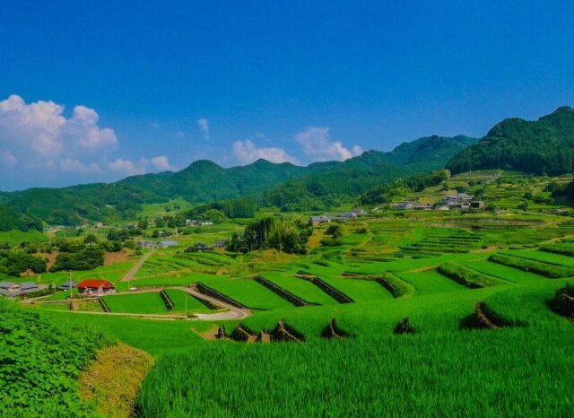 長崎県の波佐見町