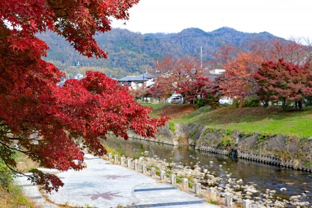 奈良県竜田川
