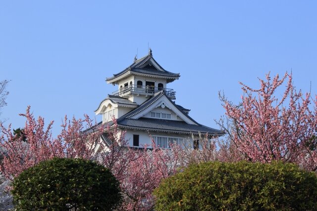 長浜市をお散歩しませんか？おすすめスポットをご紹介します！