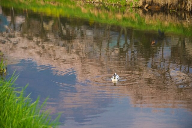 湯布院の風情
