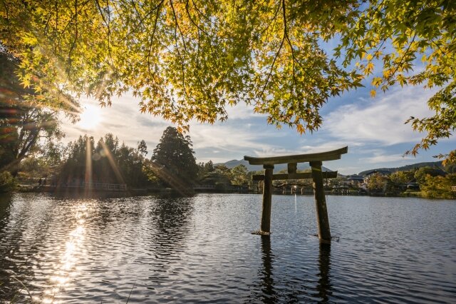 湯布院の金鱗湖