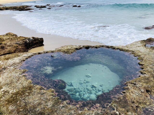 奄美大島のハートロック