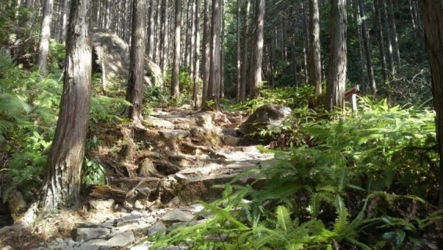 ツヅラト峠
