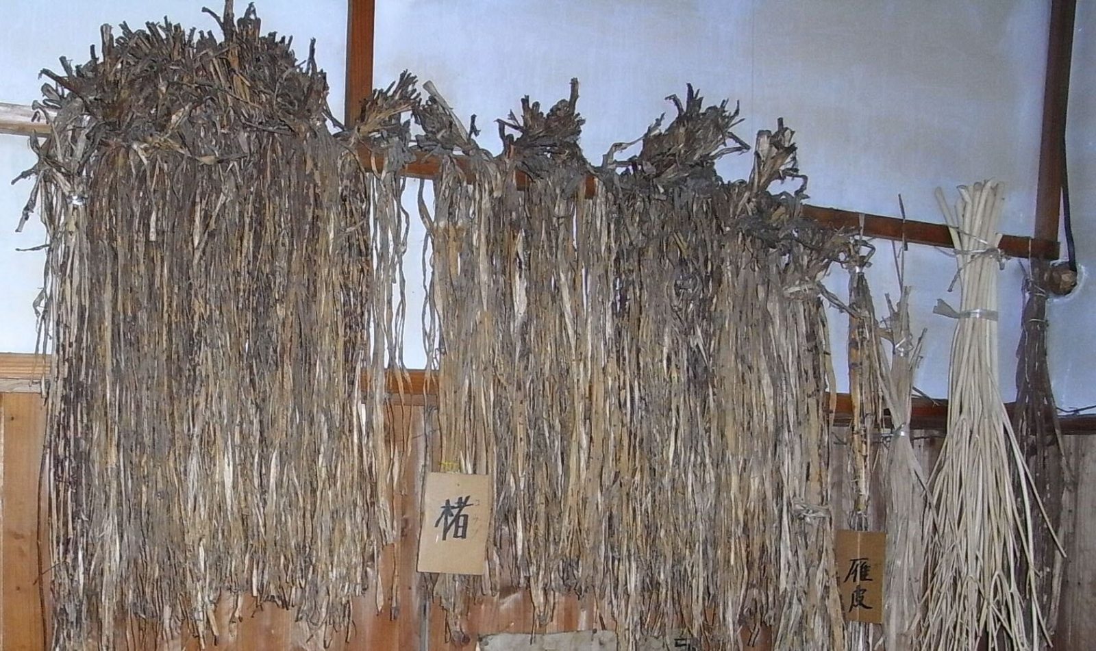 土佐和紙 原料