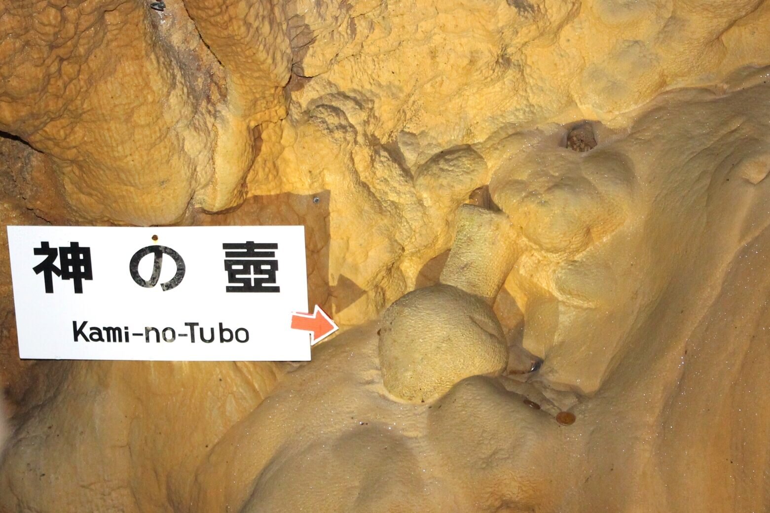 龍河洞 神の壺