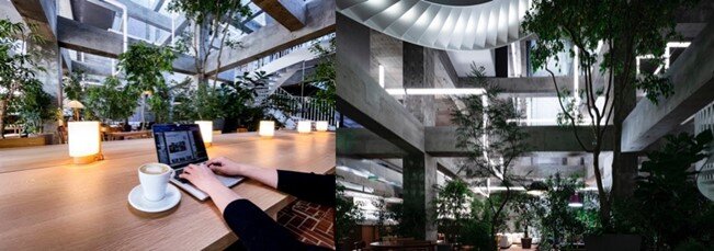 白井屋ホテルのアート作品空間でのワーケーション