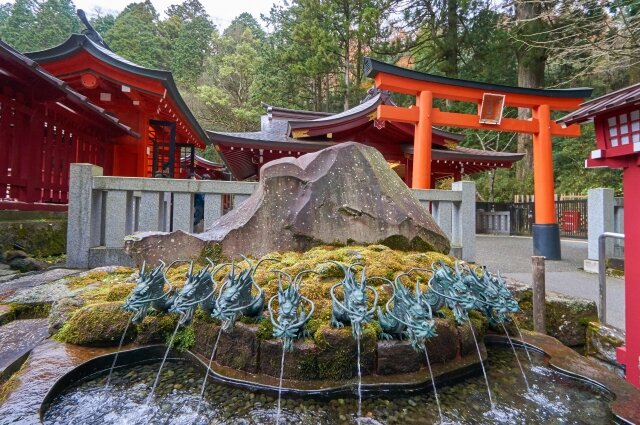 箱根の九頭箱根の