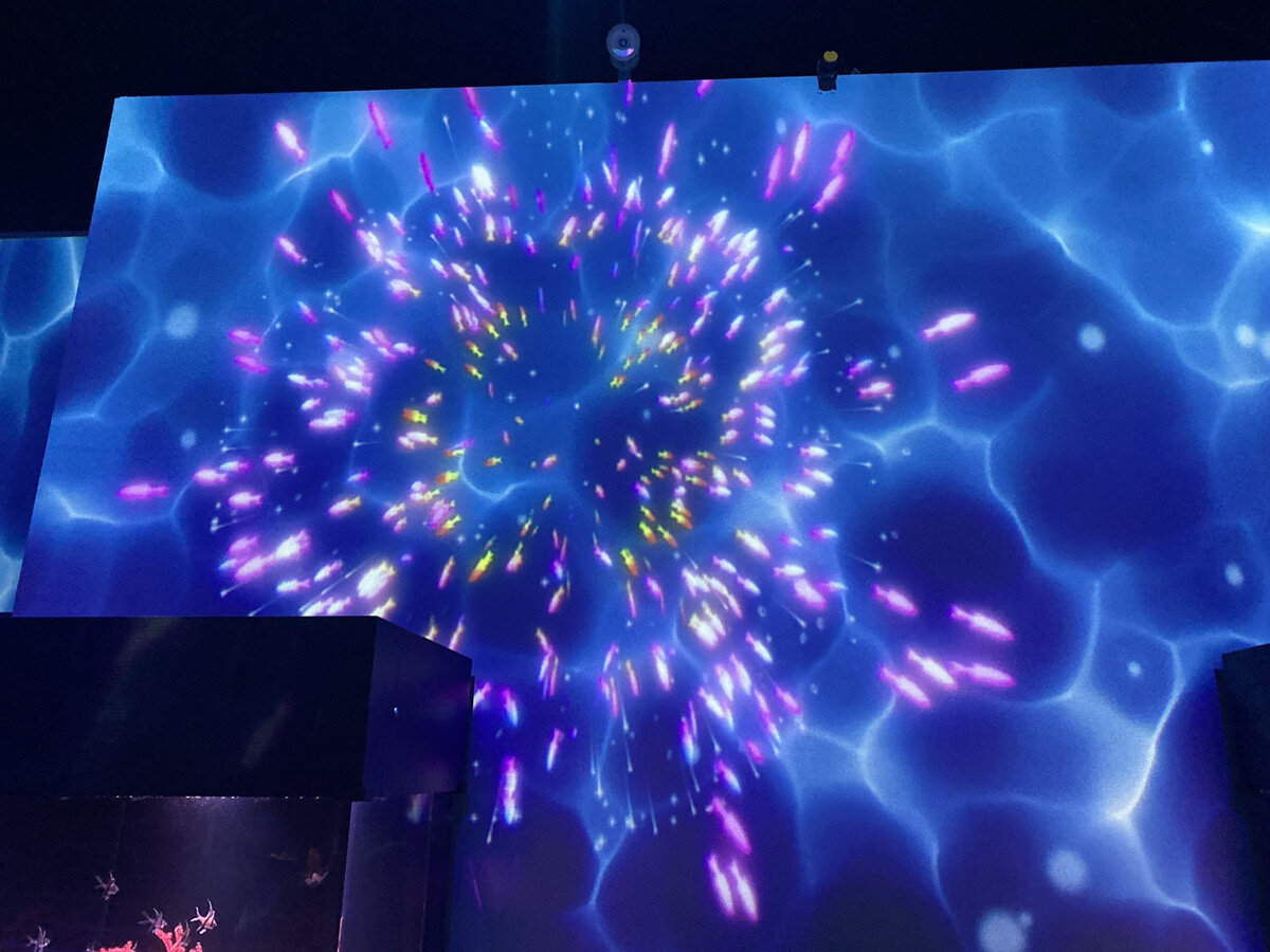 マクセルアクアパーク品川ryugufestivalのUO HANABI-魚花火