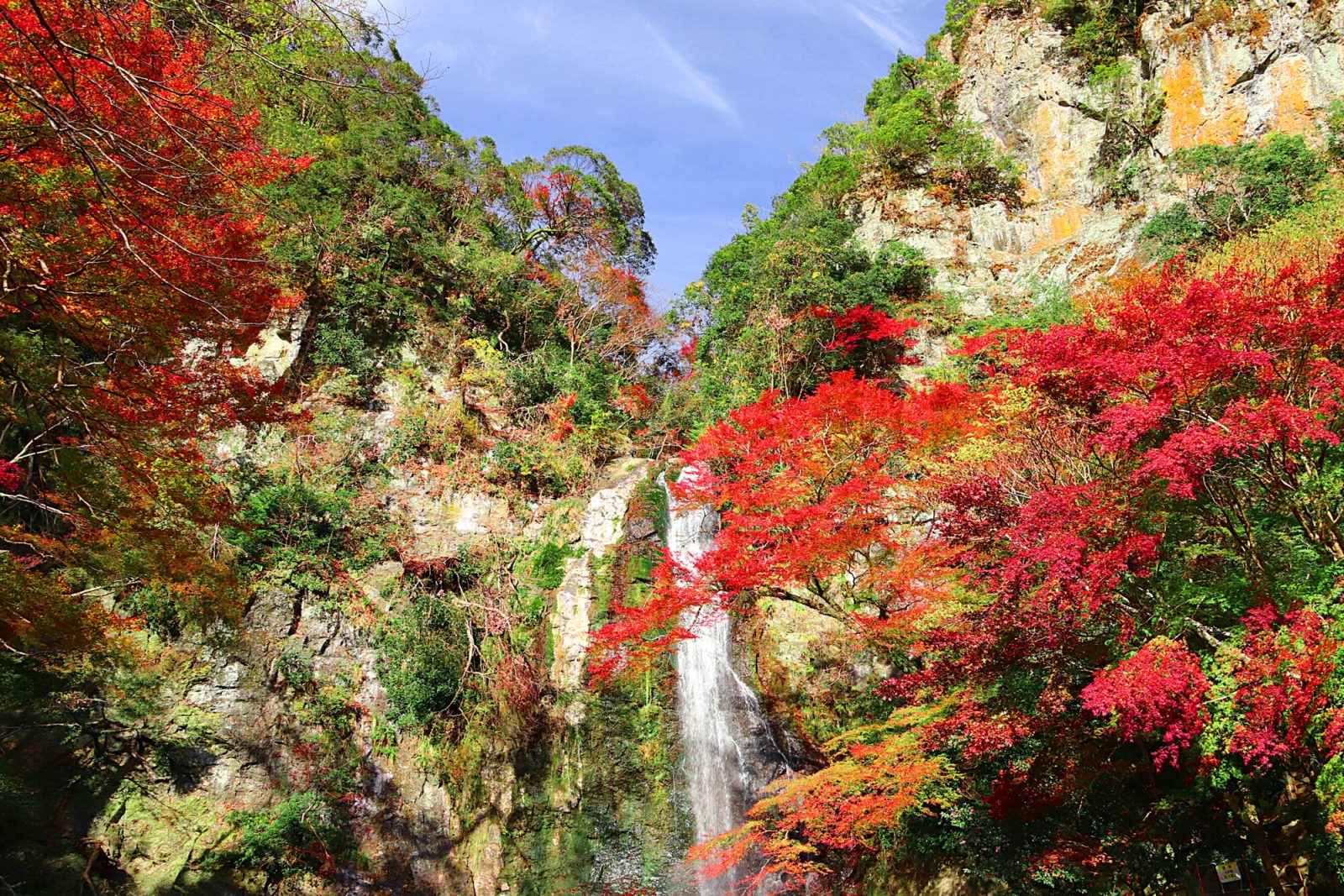 関西の紅葉スポット「箕面大滝」(大阪府)
