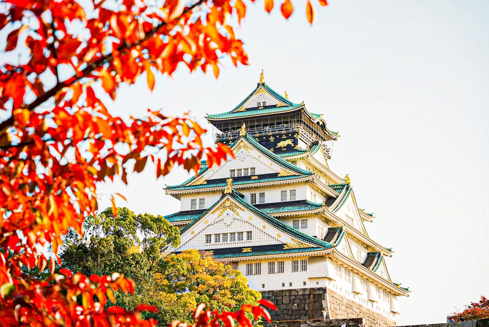 関西の紅葉スポット「大阪城」(大阪府)