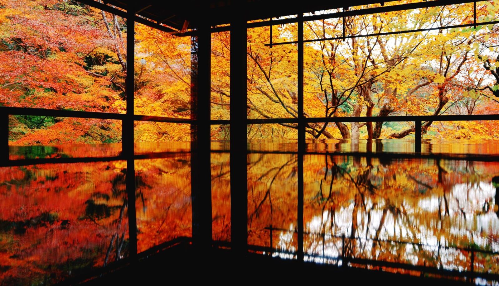 関西の紅葉スポット「瑠璃光院」(京都府)