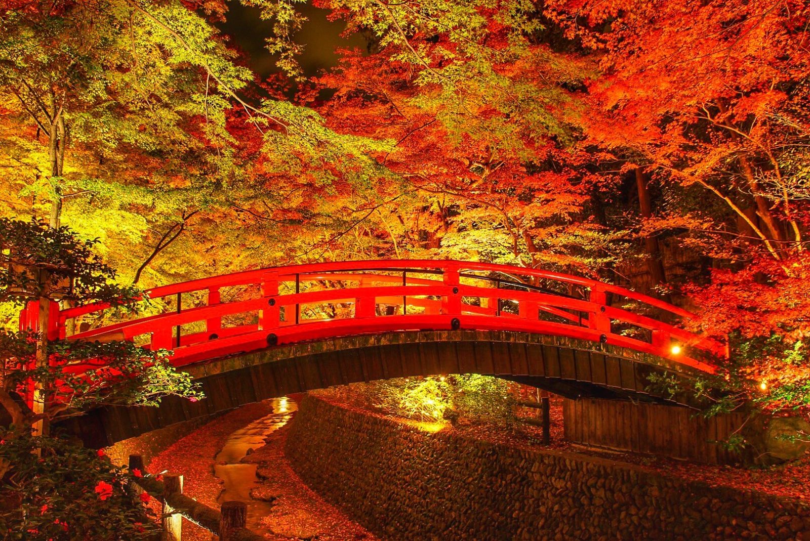 関西の紅葉スポット「史跡御土居のもみじ苑」(京都府)