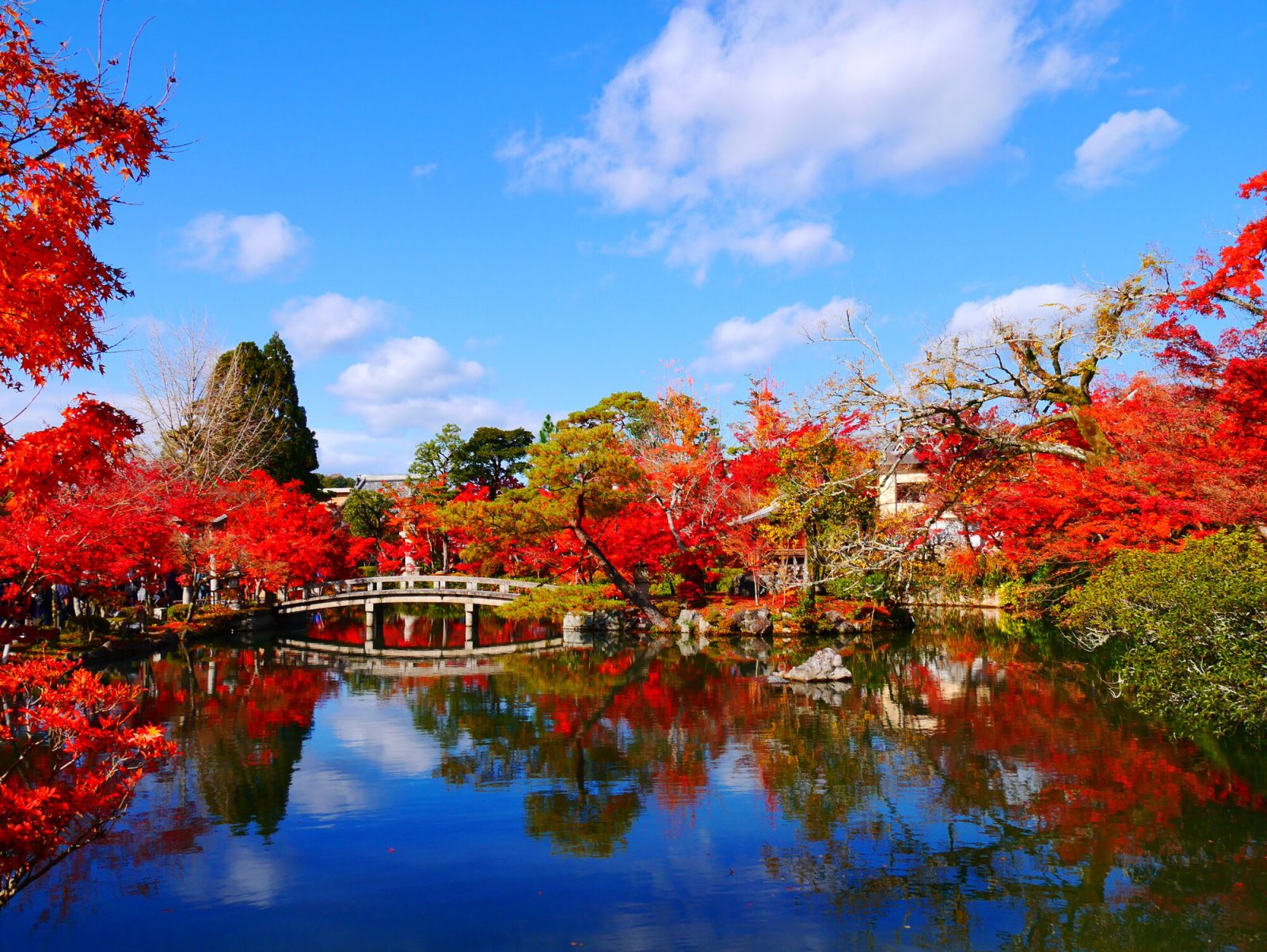 関西の紅葉スポット「永観堂 禅林寺」(京都府)